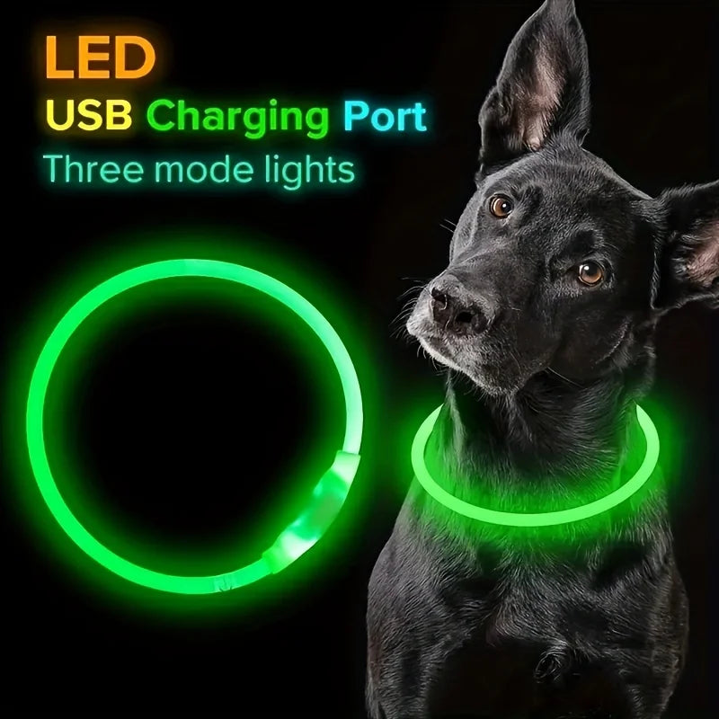 USB Rechargeable LED Dog Collar – Night Safety, Luminous & Anti-Lost Pet Necklace