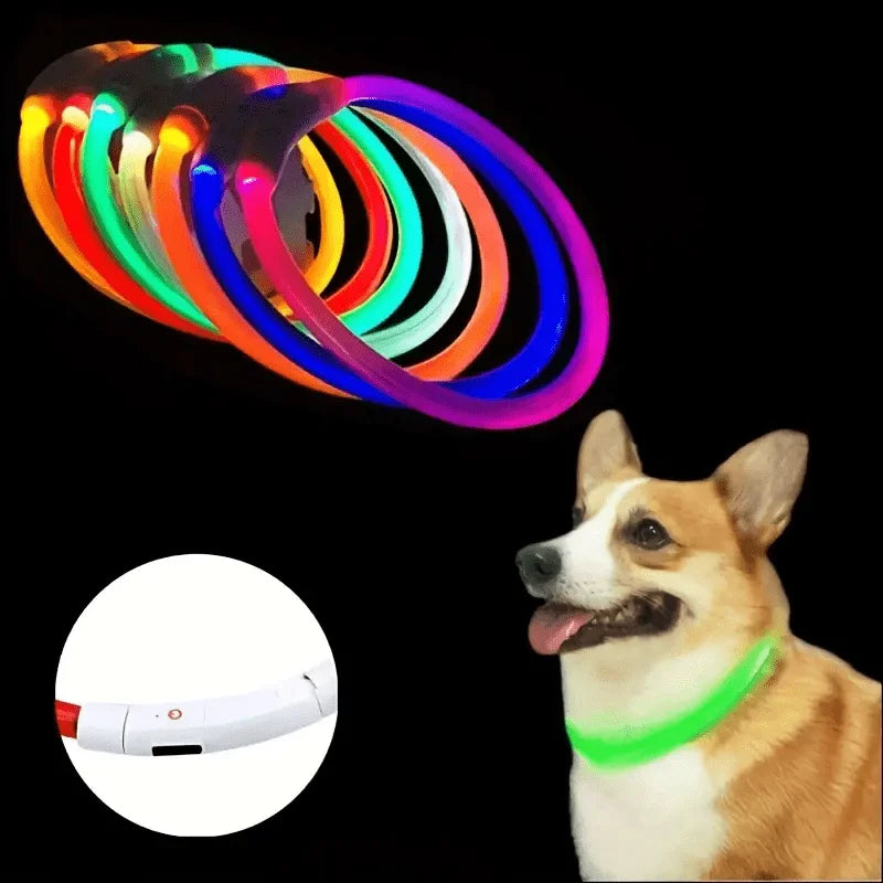USB Rechargeable LED Dog Collar – Night Safety, Luminous & Anti-Lost Pet Necklace
