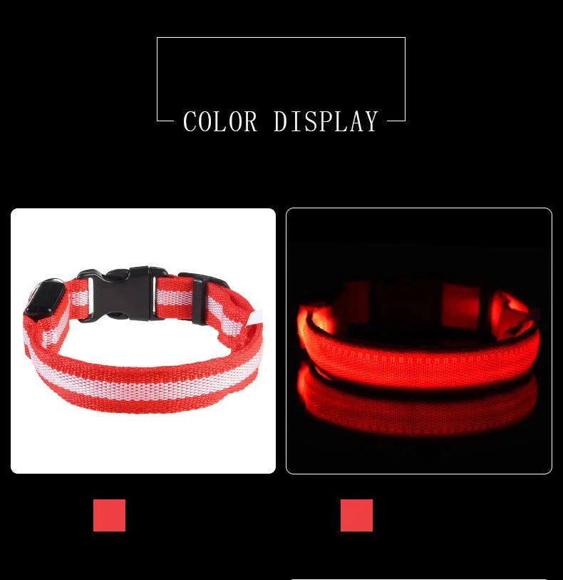 LED Light Up Dog Leash Nylon – Glow in the Dark Reflective Safety Pet Leash for Night Walking (All Sizes)