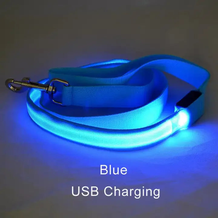 LED Dog Leash – Glowing Safety Leash for Night Walking